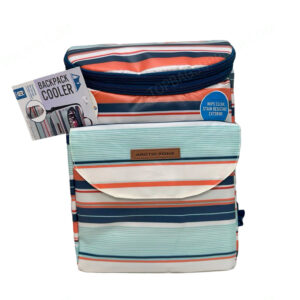 Arctic Zone 24 Cans Cooler Backpack